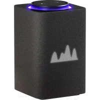 Умная колонка Яндекс Станция Макс с Zigbee YNDX-00053K (черный)