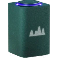 Умная колонка Яндекс Станция Макс с Zigbee YNDX-00053Z (зеленый)