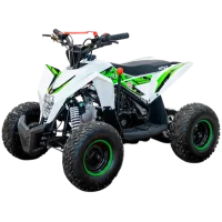Квадроцикл Motax Gekkon 90 (черный/белый/зеленый)
