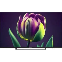 Телевизор Topdevice TDTV65CS06UBK