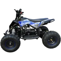 Квадроцикл Motax Gekkon 90 (синий/черный)